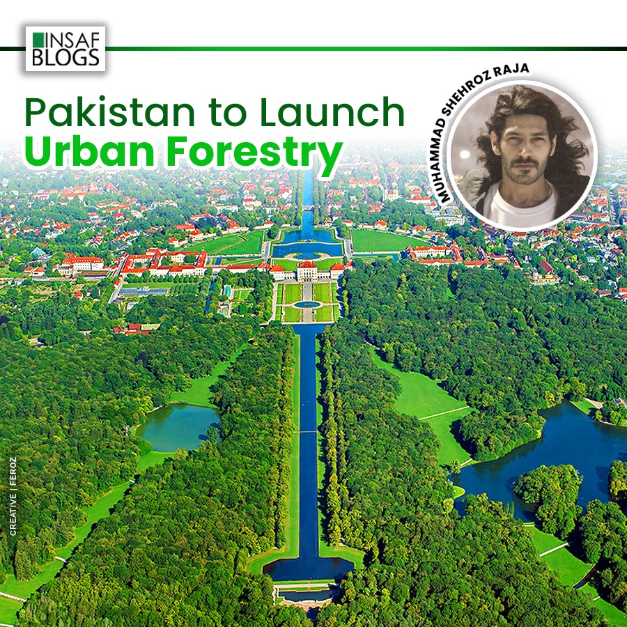 Urban Foresttry Pakistan - Insaf Blog.